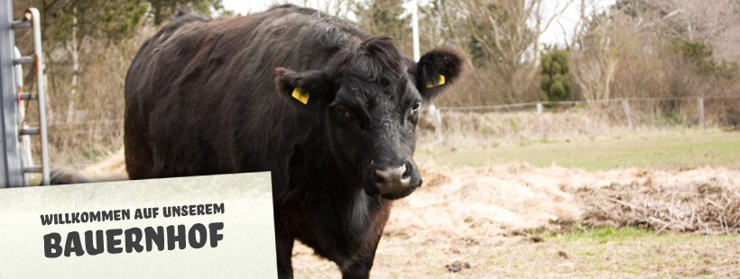 Willkommen auf unserem Bauernhof