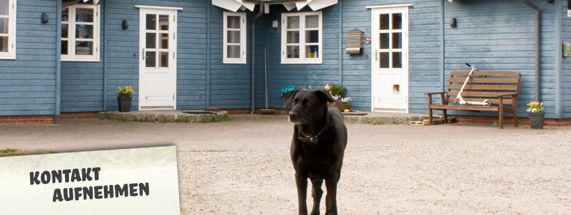 Willkommen auf unserem Bauernhof